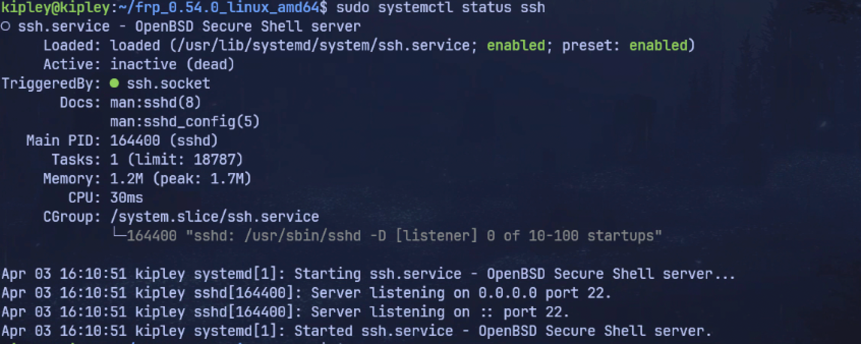 Pasted image 20260403161905